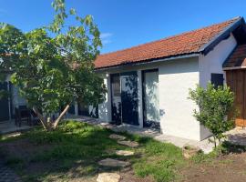 Villa Le Figuier, vila v destinaci La Teste-de-Buch