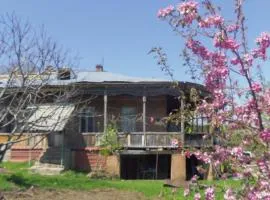 Gia's Home in Vazisubani
