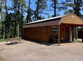 Embrace Nature and Disconnect at this Family Cabin in South Dakota