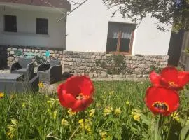 Ski - 1 Chambre - Jardin, parking, local vélo