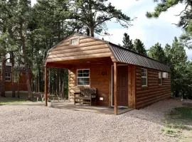 Stunning Wooden Cabin Nestled Amidst Trees in Rapid City, South Dakota