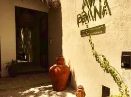 Ama y Prana
