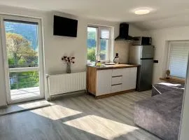 VIO apartment