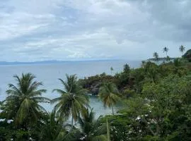 Tropical Nest XVI-301