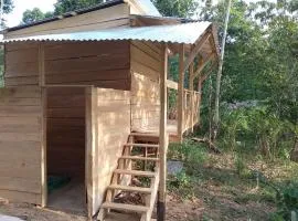 Cabin in the Mayan Jungle