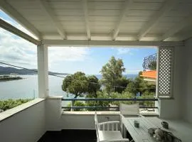 Ntelis Home