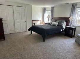 Tranquility in the Tall Pines