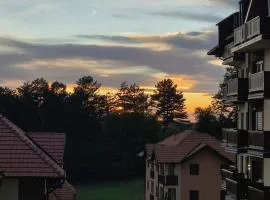 A&K Panorama View