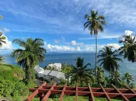 Bright Oceanview Retreat V-202