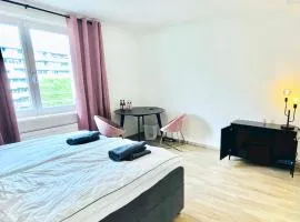 Central city apartment in Zurich!