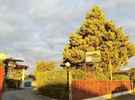 Camellia Court Family Motel