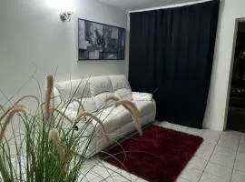 Oxford Manor Apt - Kingston - Economy stay