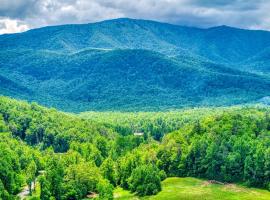 Owners Cabin -Pickleball Court, Creek, WIFI, Mountain Views, Starting at 99, hotel di Cosby