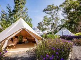 Roost Glamping - SHA Certified