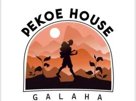 Pekoe House