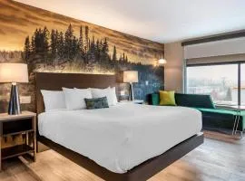 Cambria Hotel Shelby Township - Detroit Utica