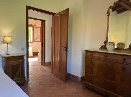 Natur, Ökologische Nachhaltigkeit, Nur Für Erwachsene, Meer In Der Nähe