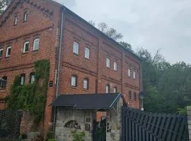 Krzywa Apartamenty