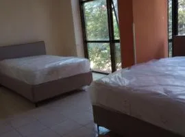 Olympia Property