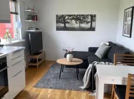 Countryside charm in Uppsala