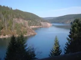 Wohnung Mit Einmaligem Bergpanorama