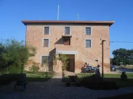 Rotreiher Urlaub Am Trasimeno See