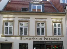 Moderne Ferienwohnung Mitten In Greifswald