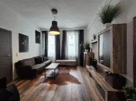 Mikra Homes24 in Crimmitschau