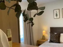 The Dooley 3-Beds Sleeps 6 Pet Friendly