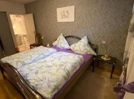 Zimmer 2 inkl eigenem Bad