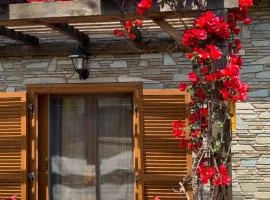 Georgia's House Sykia
