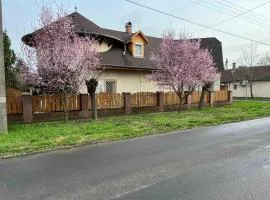 Tüskevár Panzió