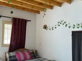 Quiet house in the Lighthouse