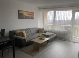 Apartment Gipfelstürmer im Harz mit Schwimmbad