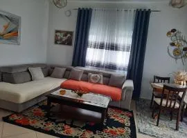 Anushe's apartament