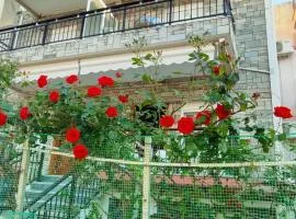 Lovely maison house 50m from the beach at Nea Flogita