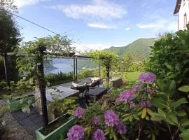 Essentia Guest House