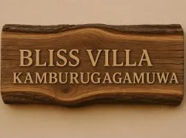 Bliss Villa