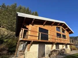 Chalet alpin de 150m² pour 12 personnes avec billard et garage à Méaudre - FR-1-737-22