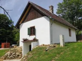 Nózsi-hegyi vendégház