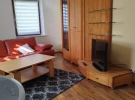 Ruhige tierfreundliche Einliegerwohnung