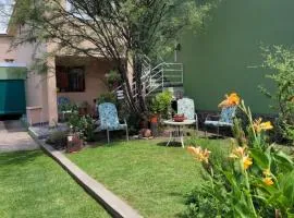 Departamentos serranos - Menta y Peperina