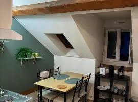 Appartement Dijon-centre quartier Montchapet