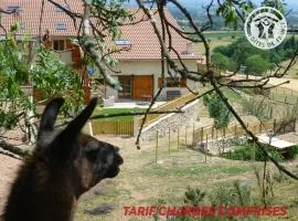 Maison cosy avec spa, sauna et lamas à proximité de Roanne - FR-1-496-23