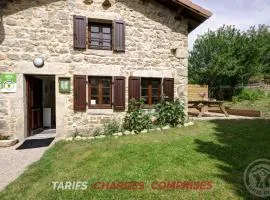 Gîte rénové en pierres au cœur du Haut Forez avec terrasse et randonnées à proximité - FR-1-496-59
