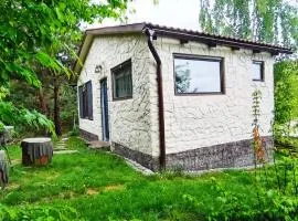 Forest Hide Tiny House、コバスナのタイニーハウス