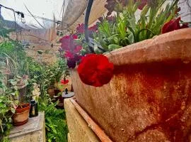 Lilac - Authentic Shared Maltese Home