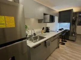 Cómodo y Lujoso Apartamento en Artemisa