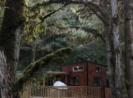 Wonderforest 2 Bedroom Tiny house Ruapehu Unique Stays