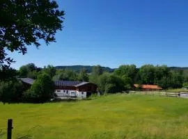 Urlaub Auf Der Aspen Ranch